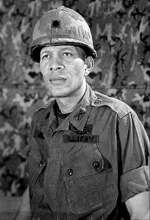 Lieutenant Colonel Eli Page Howard, Jr., U.S. Army (VVMF)